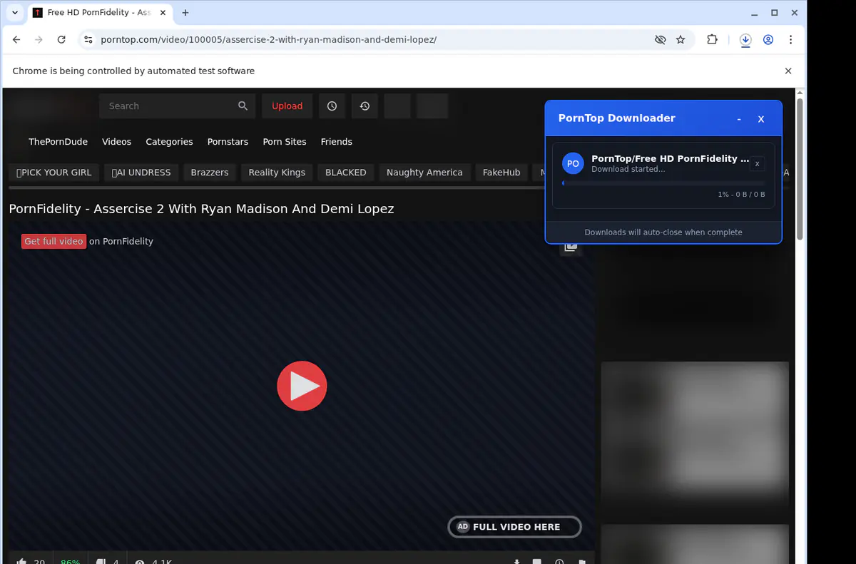 Porntop Video Downloader screenshot 2