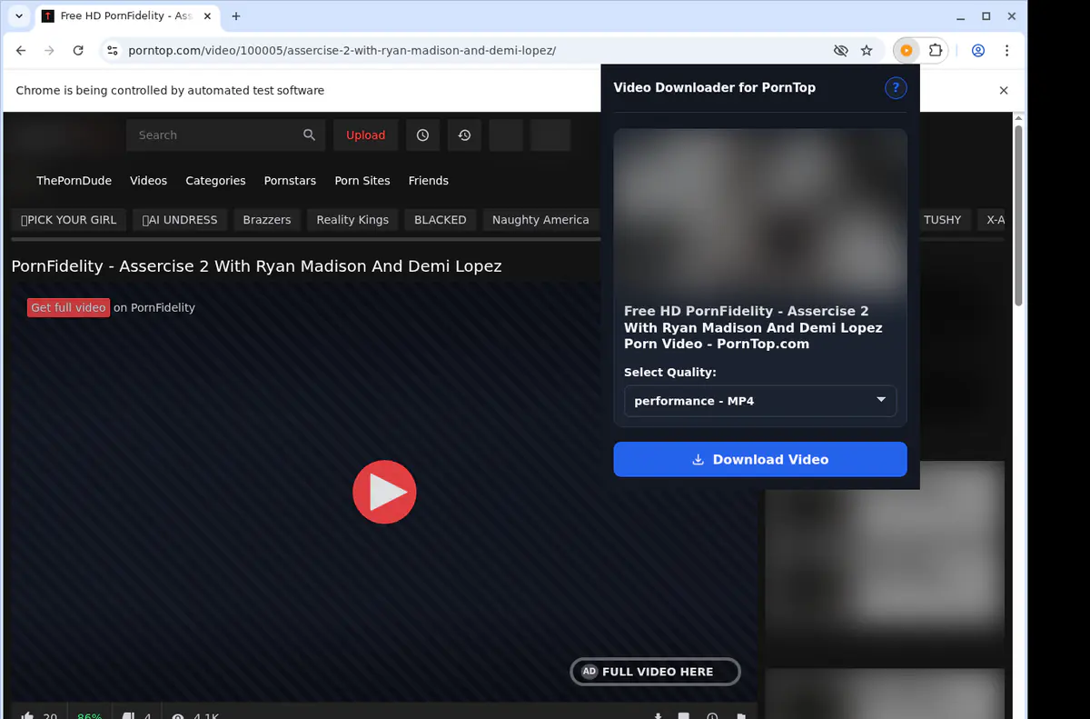 Porntop Video Downloader screenshot 3